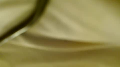 PantyJim19 online show from 20, 2, 2025