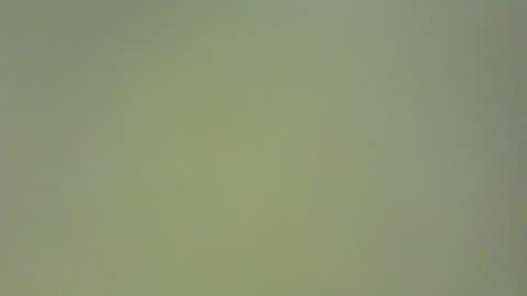 Snapshot of pantyon chatting on 14, 7, 2026 pantyon online show from 14, 7, 2026