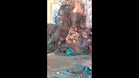 parinaaz19 online show from 1, 4, 2026