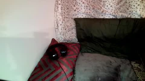 Snapshot of parlaytellio chatting on 31, 1, 2025 Parlay Tellio online show from 31, 1, 2025