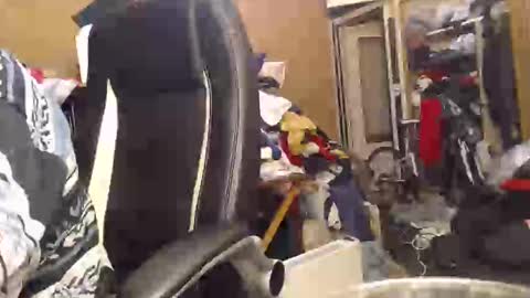 pascal88881 online show from 2, 12, 2024