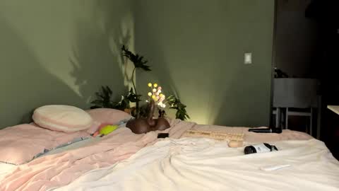    online show from 3, 2, 2026