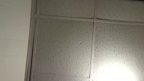 JD online show from 19, 11, 2025