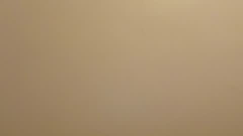 Snapshot of pato0008 chatting on 19, 7, 2026 JD online show from 19, 7, 2026