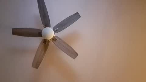 patrick247288 online show from 16, 11, 2025