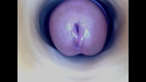 Paula 18 Aninhos online show from 16, 2, 2025