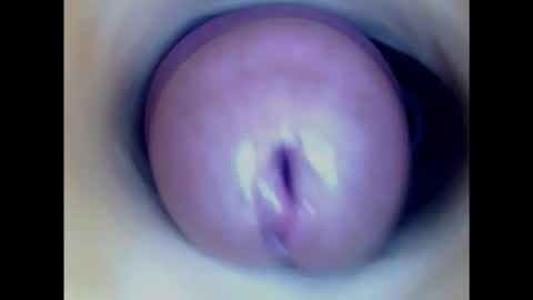 Paula 18 Aninhos online show from 23, 2, 2025