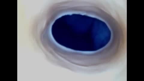 Paula 18 Aninhos online show from 2, 3, 2025