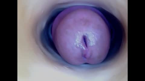 Paula 18 Aninhos online show from 2, 3, 2025