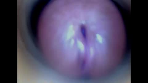 Paula 18 Aninhos online show from 5, 4, 2026