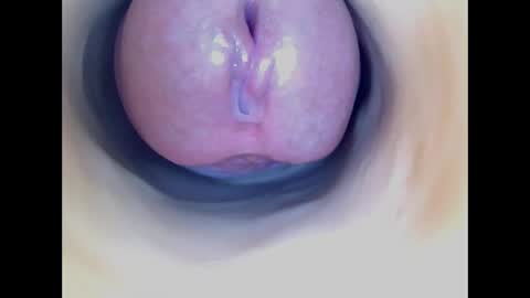 Paula 18 Aninhos online show from 7, 4, 2026