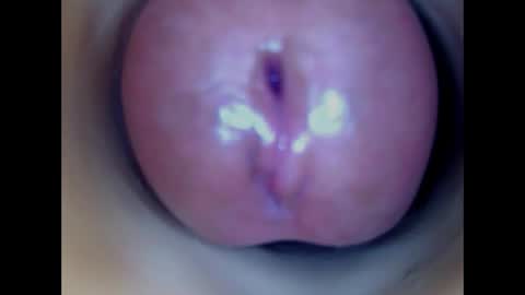 Snapshot of paulainoscente chatting on 19, 4, 2026 Paula 18 Aninhos online show from 19, 4, 2026