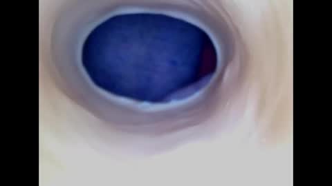 Snapshot of paulainoscente chatting on 29, 4, 2026 Paula 18 Aninhos online show from 29, 4, 2026