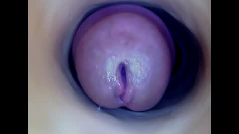 Snapshot of paulainoscente chatting on 30, 4, 2026 Paula 18 Aninhos online show from 30, 4, 2026