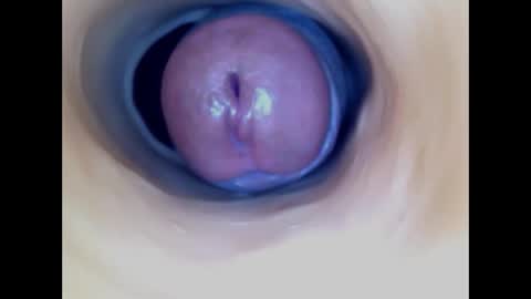 Snapshot of paulainoscente chatting on 9, 5, 2026 Paula 18 Aninhos online show from 9, 5, 2026