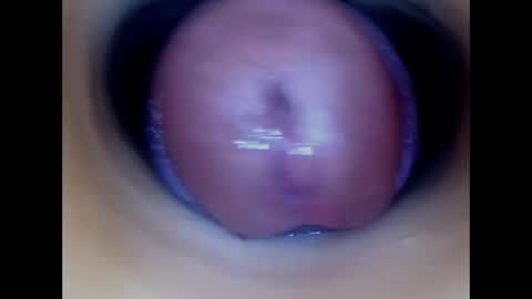 Snapshot of paulainoscente chatting on 12, 5, 2026 Paula 18 Aninhos online show from 12, 5, 2026