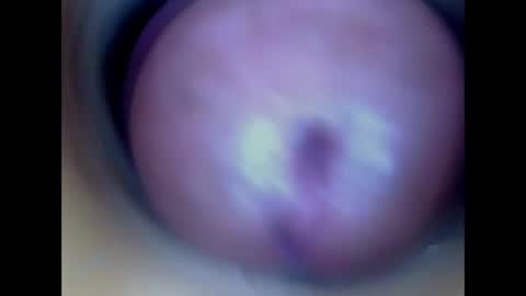 Snapshot of paulainoscente chatting on 13, 5, 2026 Paula 18 Aninhos online show from 13, 5, 2026