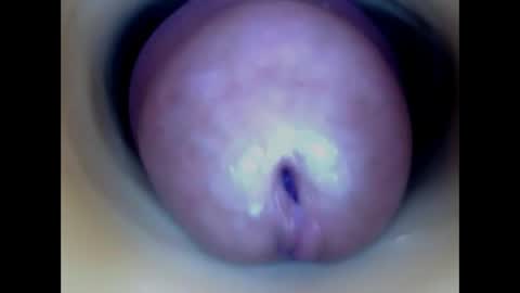 Snapshot of paulainoscente chatting on 13, 5, 2026 Paula 18 Aninhos online show from 13, 5, 2026