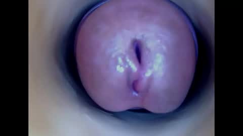 Snapshot of paulainoscente chatting on 17, 5, 2026 Paula 18 Aninhos online show from 17, 5, 2026