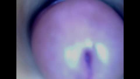 Snapshot of paulainoscente chatting on 18, 5, 2026 Paula 18 Aninhos online show from 18, 5, 2026