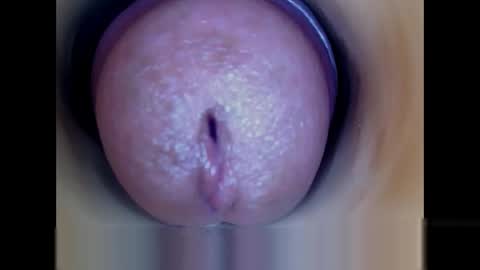 Snapshot of paulainoscente chatting on 19, 5, 2026 Paula 18 Aninhos online show from 19, 5, 2026