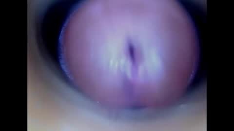 Snapshot of paulainoscente chatting on 21, 5, 2026 Paula 18 Aninhos online show from 21, 5, 2026
