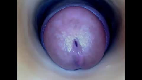 Snapshot of paulainoscente chatting on 22, 5, 2026 Paula 18 Aninhos online show from 22, 5, 2026