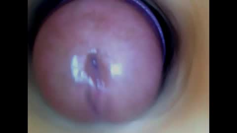 Snapshot of paulainoscente chatting on 27, 5, 2026 Paula 18 Aninhos online show from 27, 5, 2026