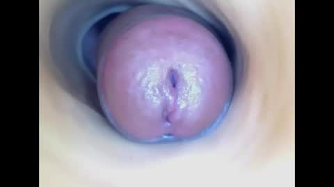 Snapshot of paulainoscente chatting on 31, 5, 2026 Paula 18 Aninhos online show from 31, 5, 2026