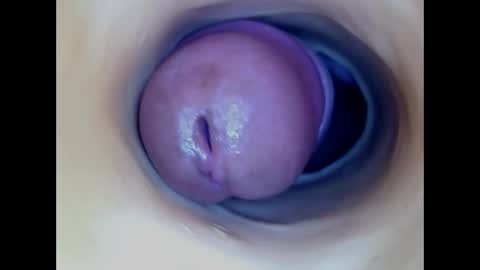 Snapshot of paulainoscente chatting on 31, 5, 2026 Paula 18 Aninhos online show from 31, 5, 2026