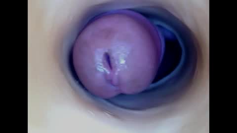 Snapshot of paulainoscente chatting on 7, 6, 2026 Paula 18 Aninhos online show from 7, 6, 2026