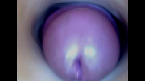 Snapshot of paulainoscente chatting on 9, 6, 2026 Paula 18 Aninhos online show from 9, 6, 2026