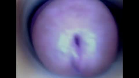 Snapshot of paulainoscente chatting on 16, 6, 2026 Paula 18 Aninhos online show from 16, 6, 2026