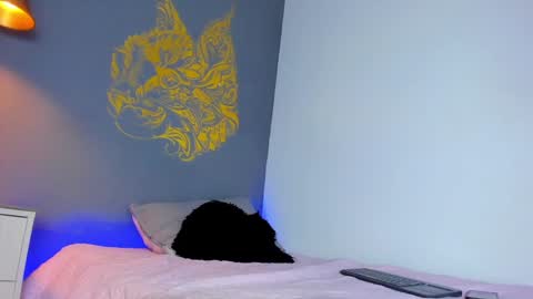 Paulina online show from 2, 12, 2024