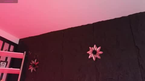 Paulo online show from 5, 2, 2026