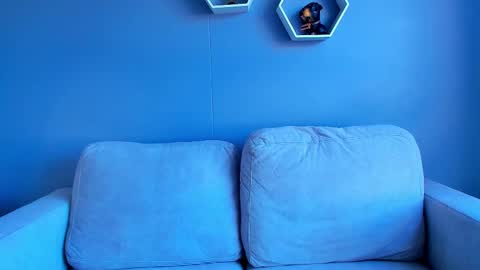 Paul Phoenix online show from 5, 10, 2025