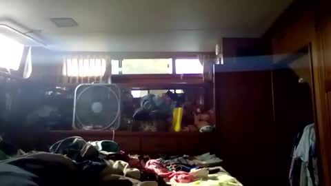 Snapshot of pavonesplash chatting on 9, 1, 2026 Pavone splash online show from 9, 1, 2026