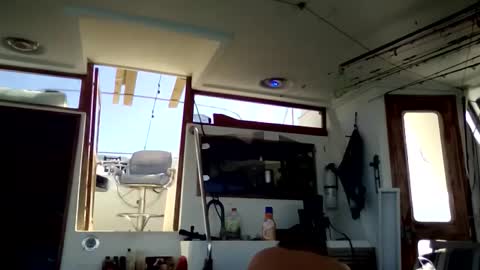 Snapshot of pavonesplash chatting on 10, 1, 2026 Pavone splash online show from 10, 1, 2026