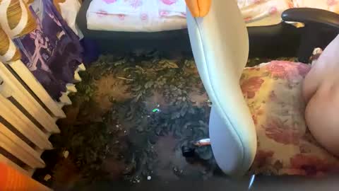 pawelmajster3 online show from 18, 10, 2025