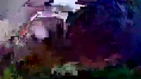 Snapshot of pay2playangel12 chatting on 21, 12, 2024 Coco channel online show from 21, 12, 2024