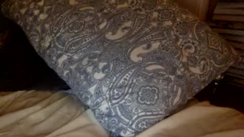 pea23 online show from 27, 2, 2026