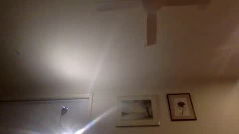 pedro________8 online show from 17, 12, 2024