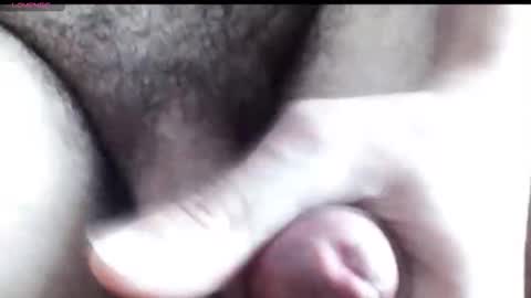 peiboluna online show from 16, 12, 2025