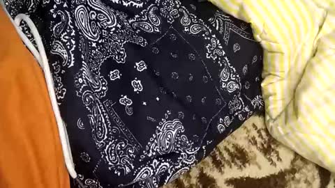 Snapshot of perdido4_20 chatting on 5, 1, 2025 perdido4_20 online show from 5, 1, 2025