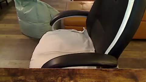 Snapshot of perfecto1957 chatting on 6, 11, 2025 perfecto1957 online show from 6, 11, 2025