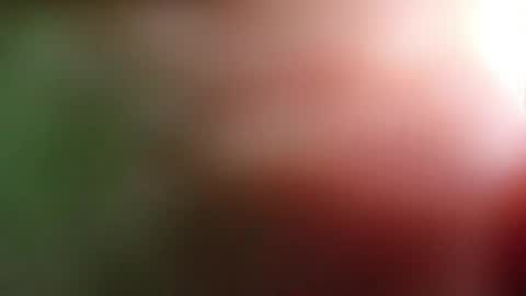 perla_lovely online show from 1, 5, 2026
