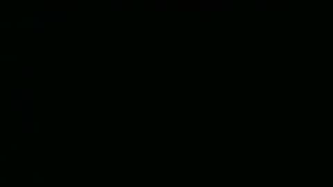 perrosoxxx online show from 15, 1, 2025