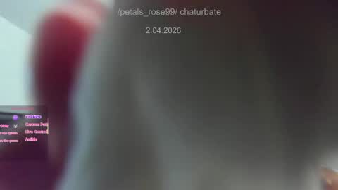 Snapshot of petals_rose99 chatting on 1, 4, 2026 Rose online show from 1, 4, 2026