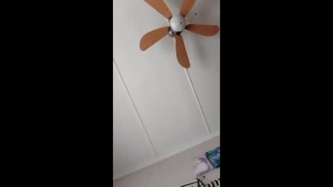 peter online show from 15, 2, 2026