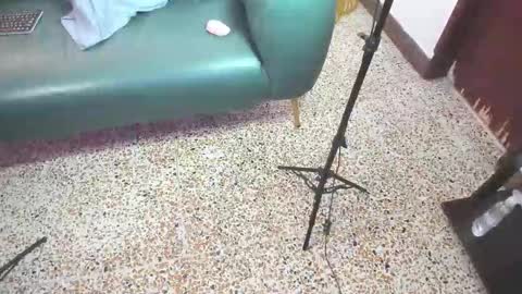 Snapshot of peter_chase chatting on 21, 2, 2026 Peter online show from 21, 2, 2026